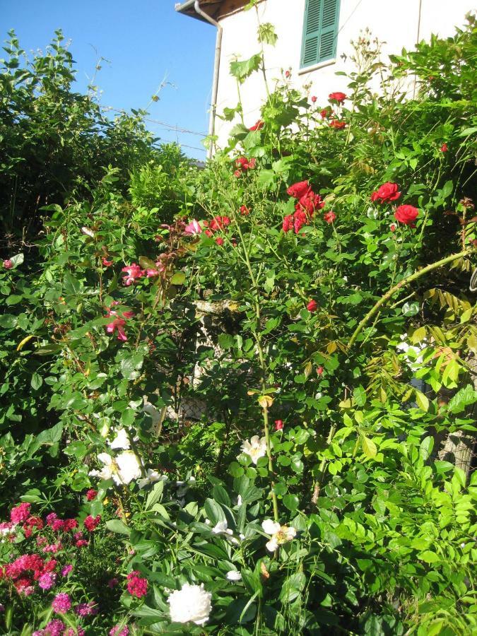 Lago Secco Bed & Breakfast Country House Accumoli Exterior photo